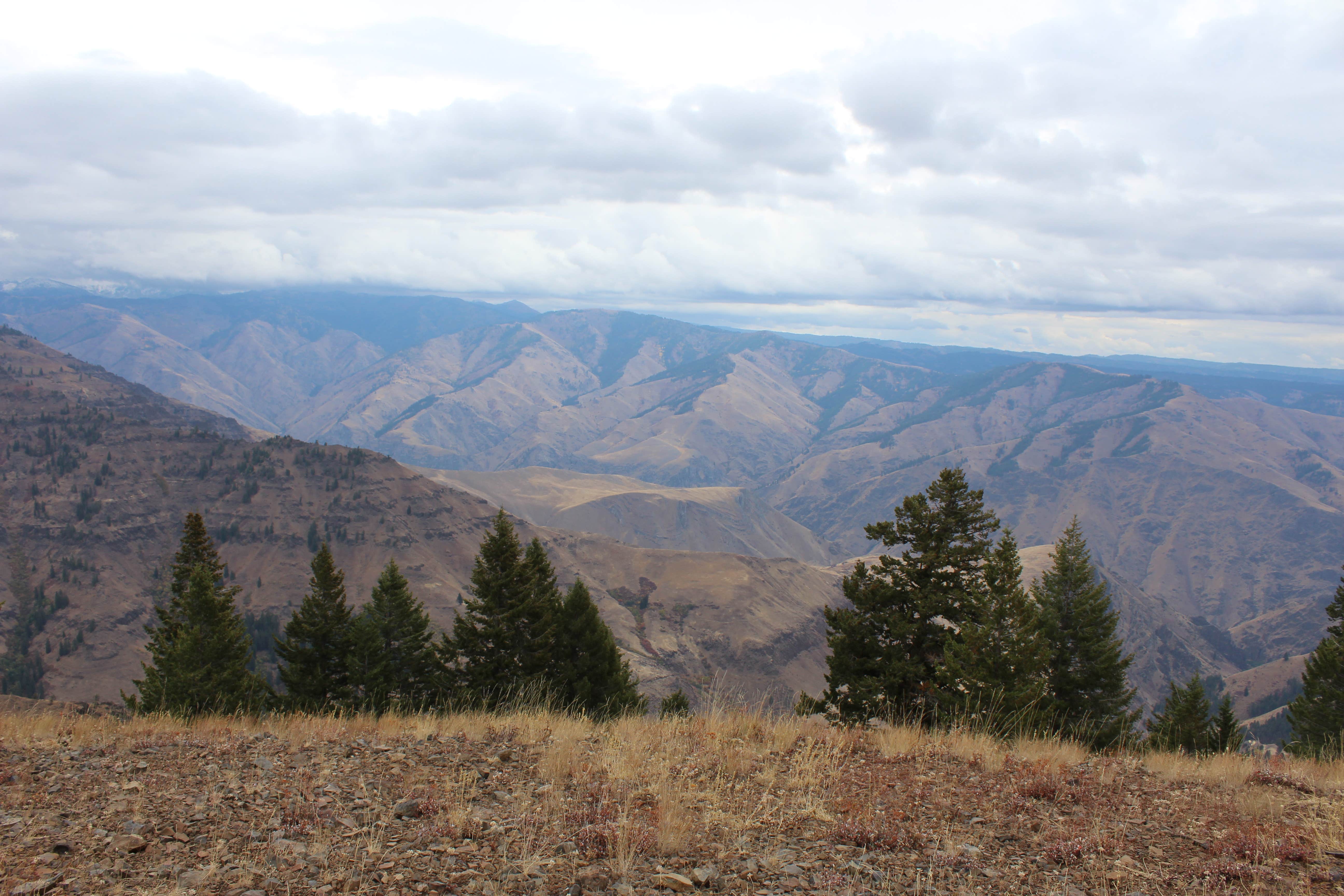 Camper-submitted photo at Ollokot Campground near Oxbow, OR