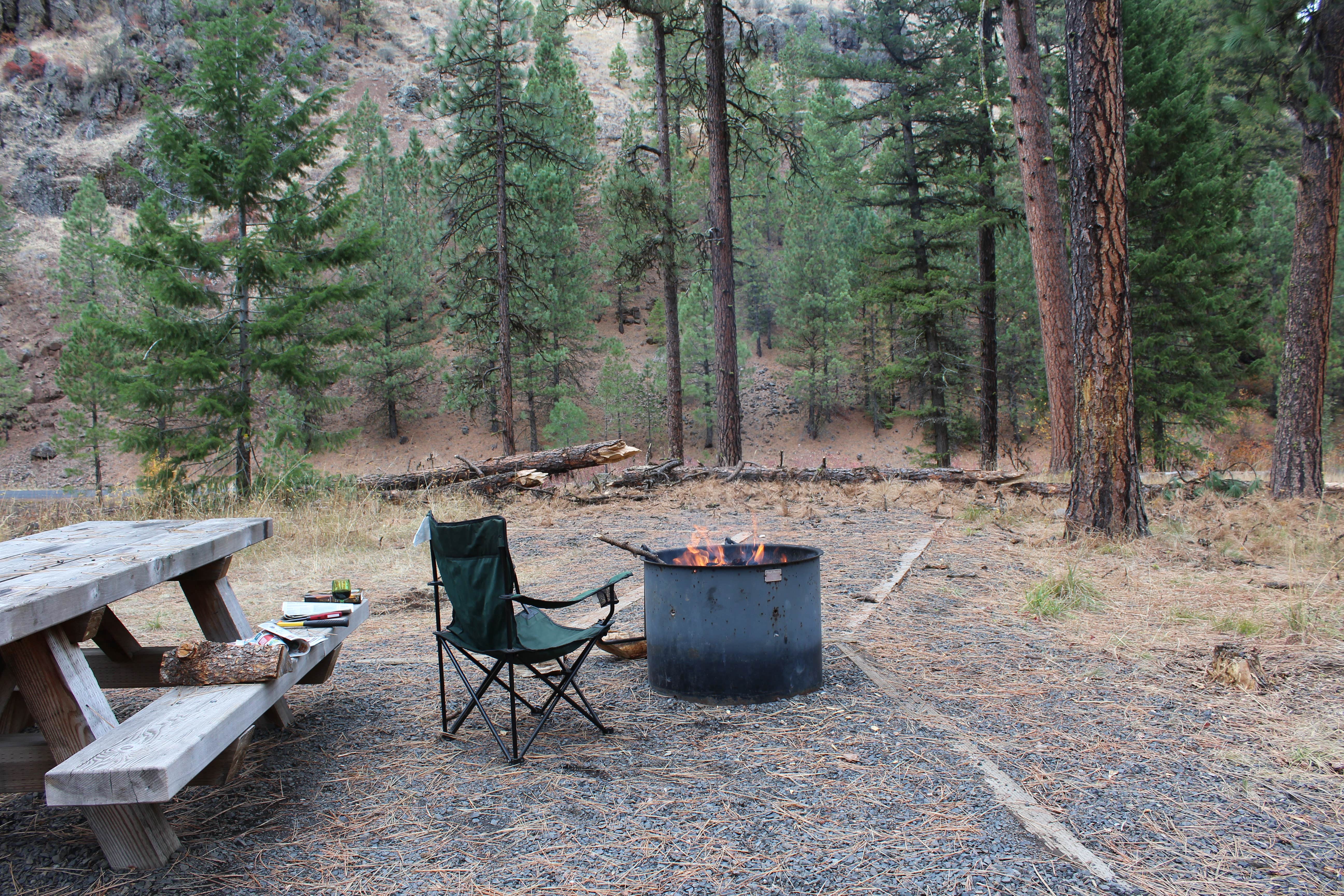 Camper submitted image from Ollokot Campground - 4