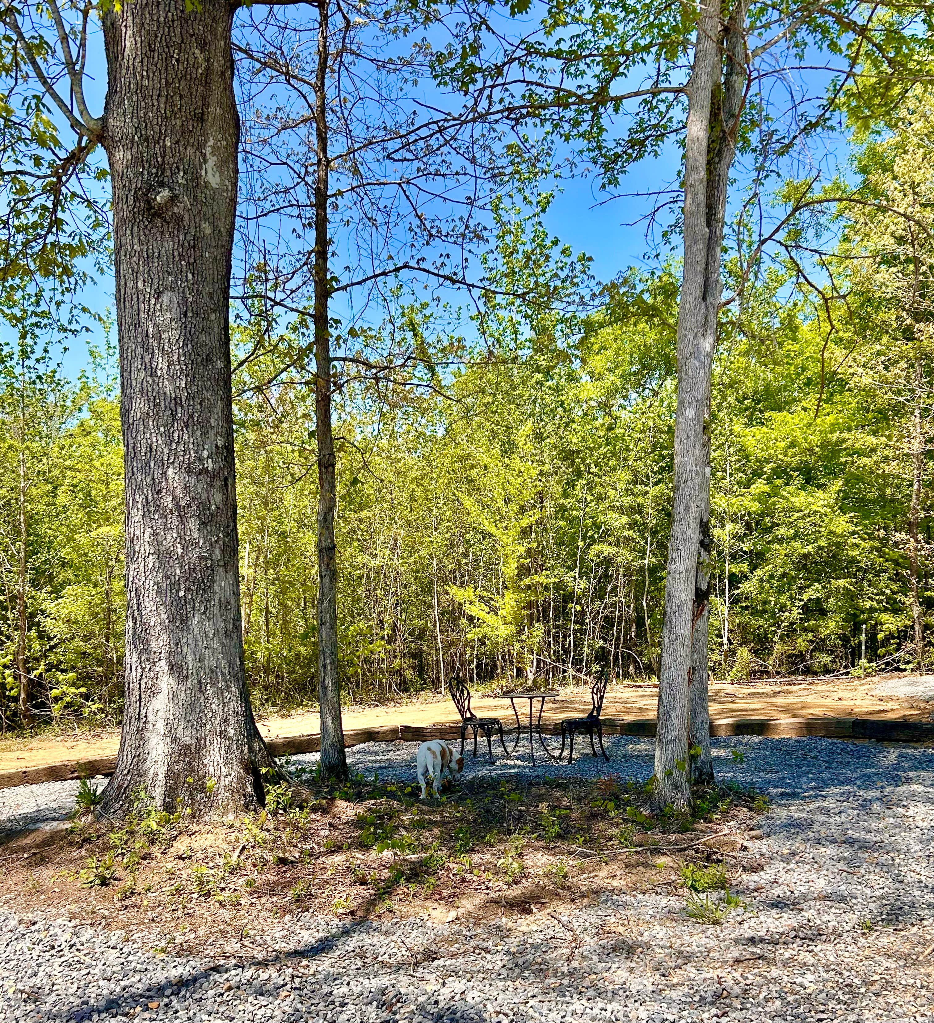 Camper-submitted photo at Covenant Woodlands near Pinson, AL