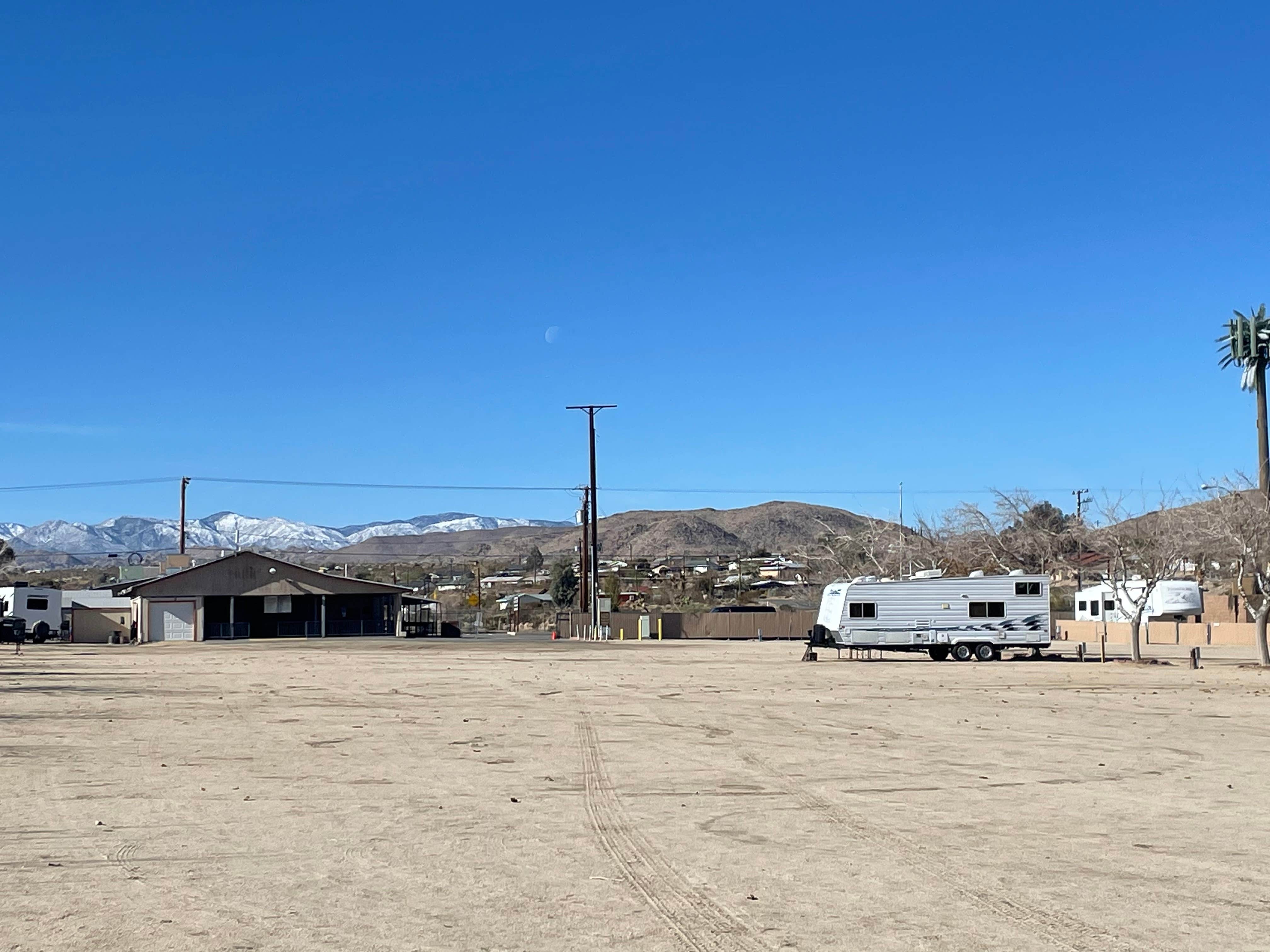 Camper submitted image from Joshua Tree RV & Campground - 3