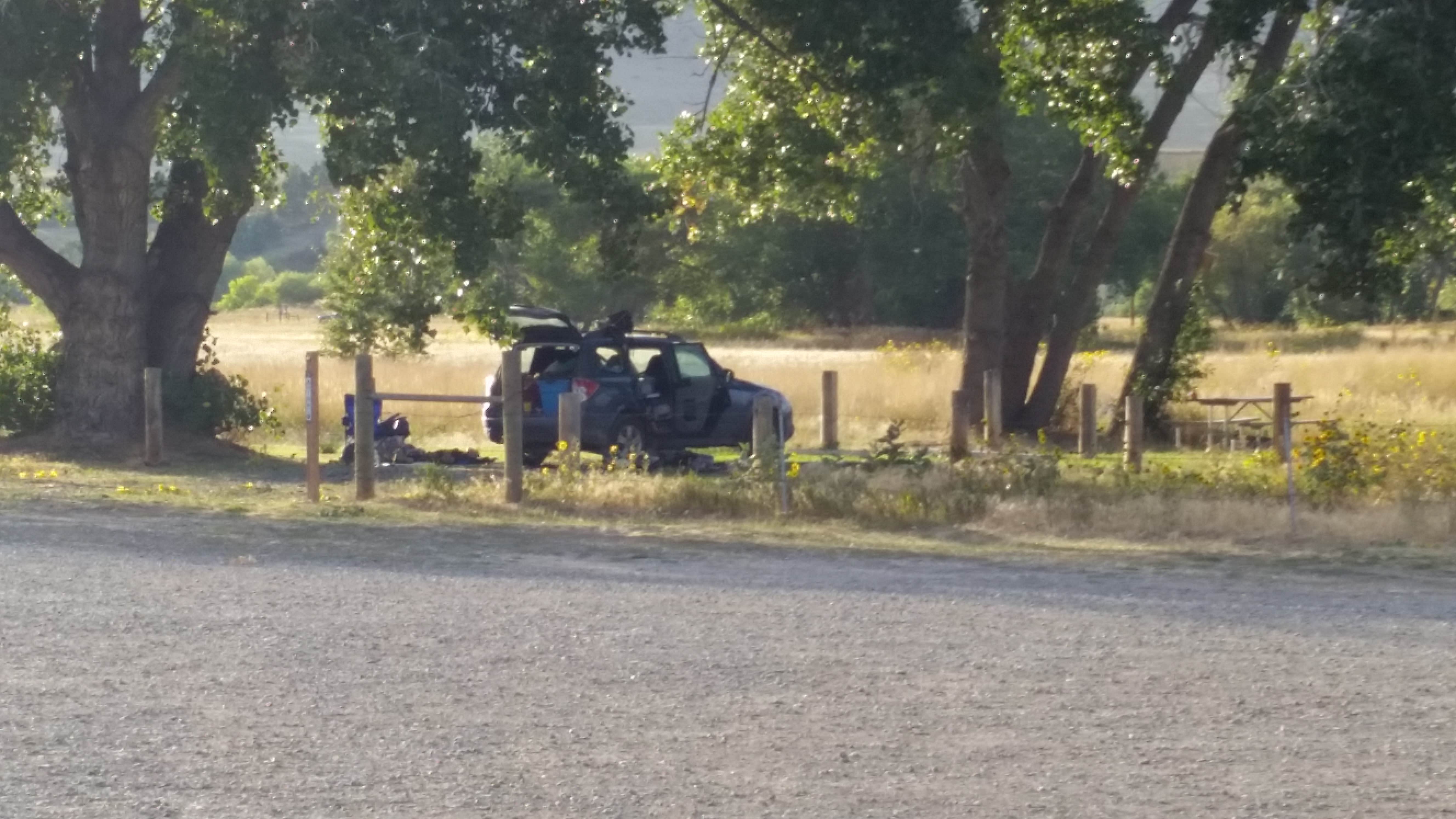 Camper-submitted photo at Pelican Point Fishing Access Site near Lewis and Clark National Forest
