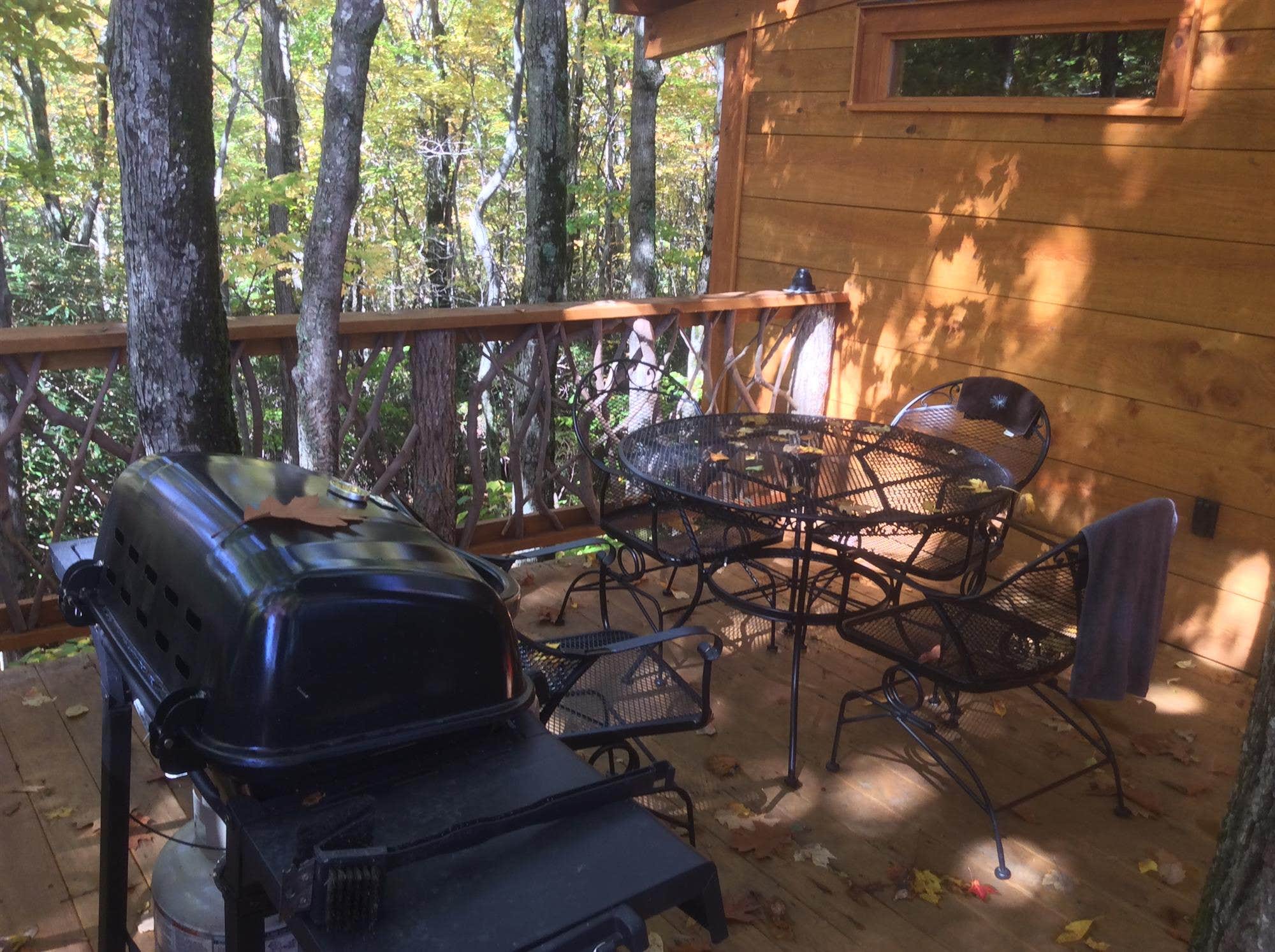 Camper-submitted photo at Blue Bear Mountain Camp near Vilas, NC