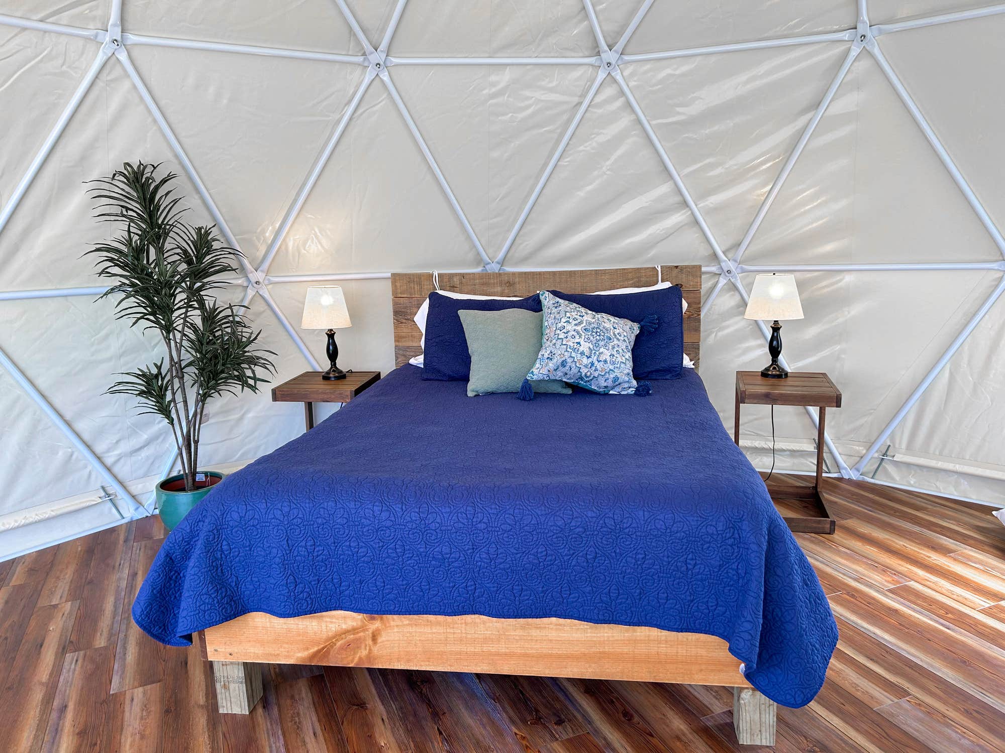 The Dyrt's photo of glamping accommodations at Blue Bear Mountain Camp near Abingdon, VA