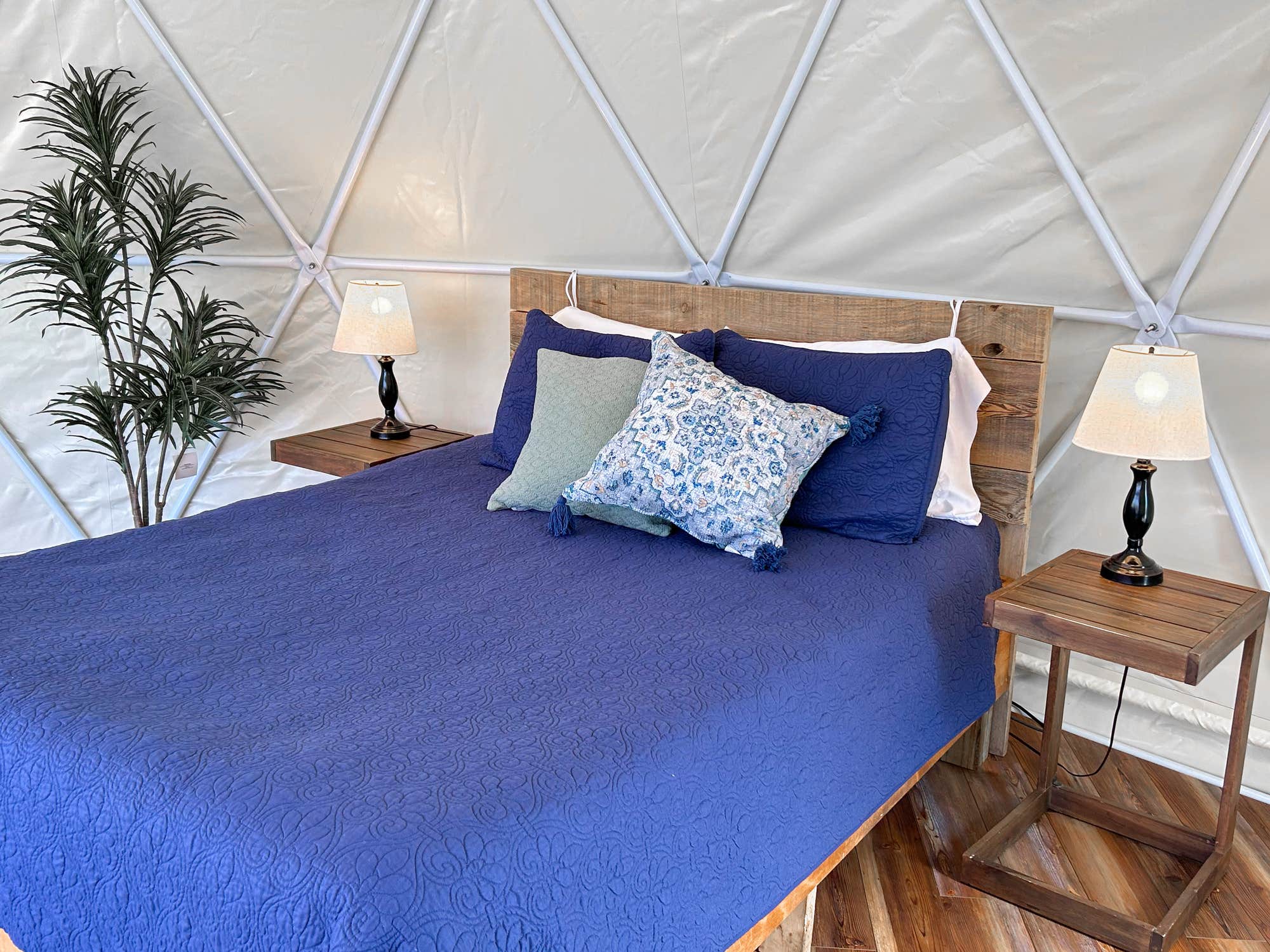 The Dyrt's photo of glamping accommodations at Blue Bear Mountain Camp near Roan Mountain, TN