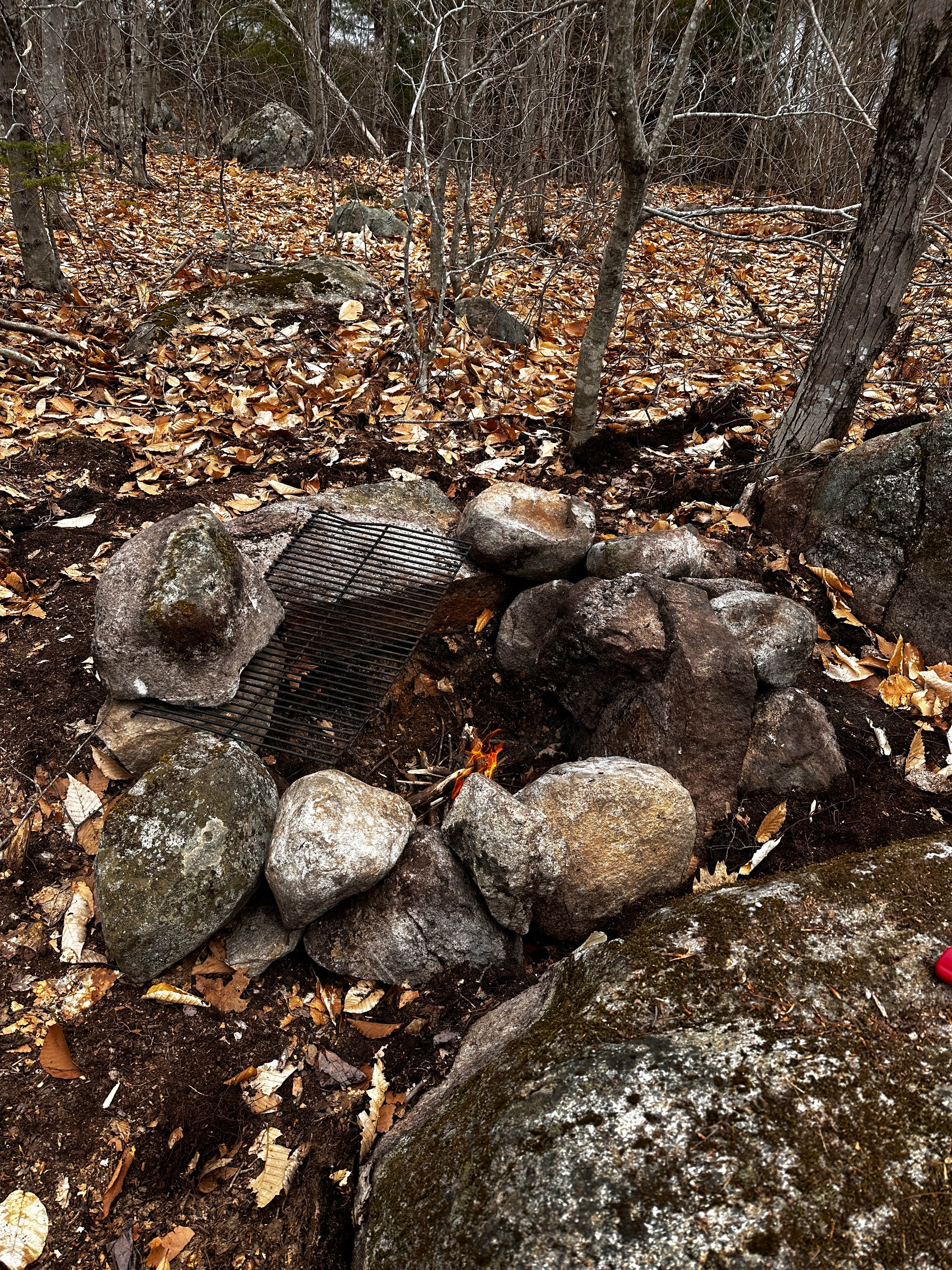 Camper-submitted photo at Tiny Cabins of Maine near Alna, ME