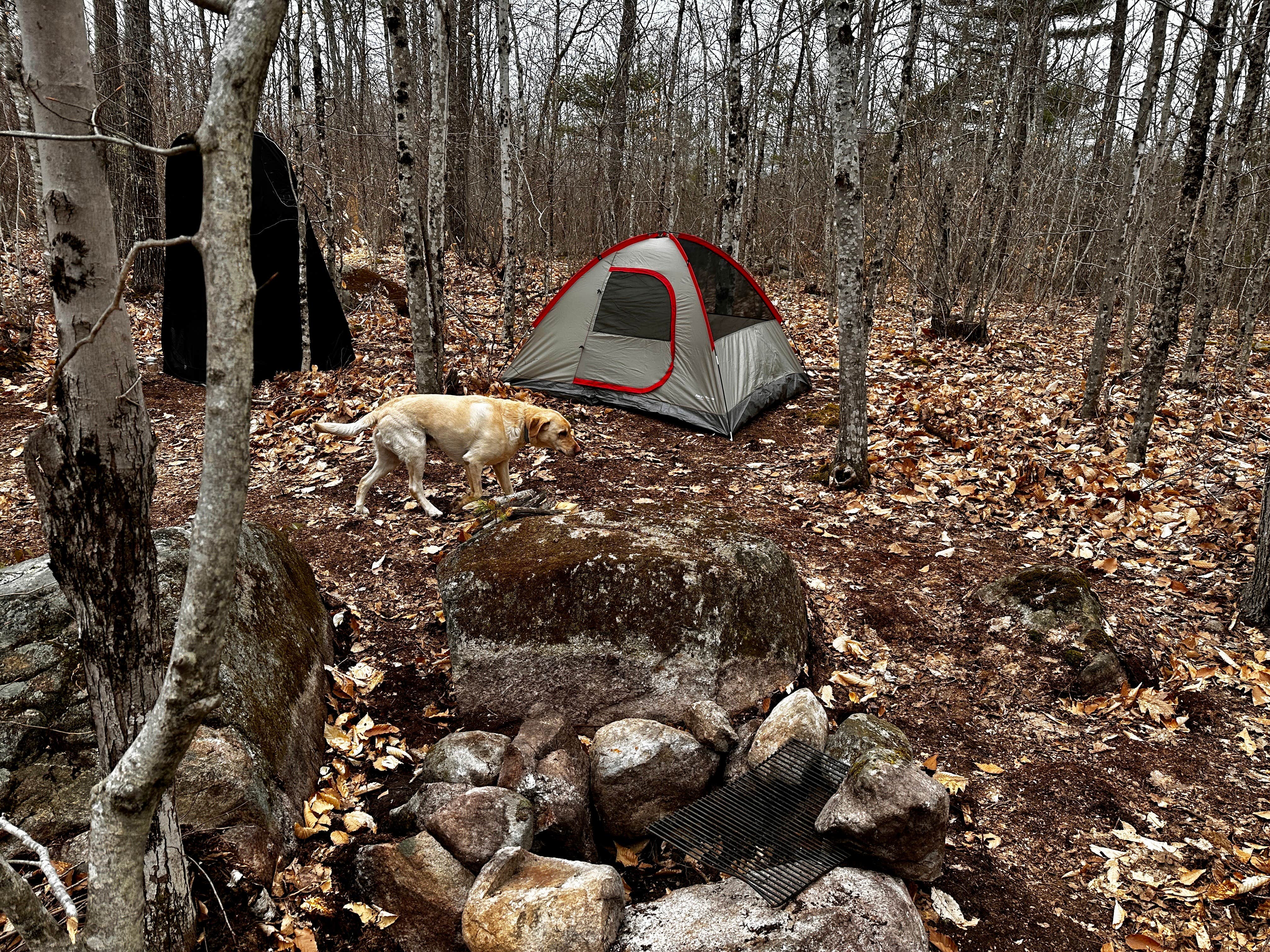 Camper-submitted photo at Tiny Cabins of Maine near Alna, ME