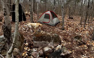 Sherri S.'s photo of camping with pets at Tiny Cabins of Maine near Chelsea, ME