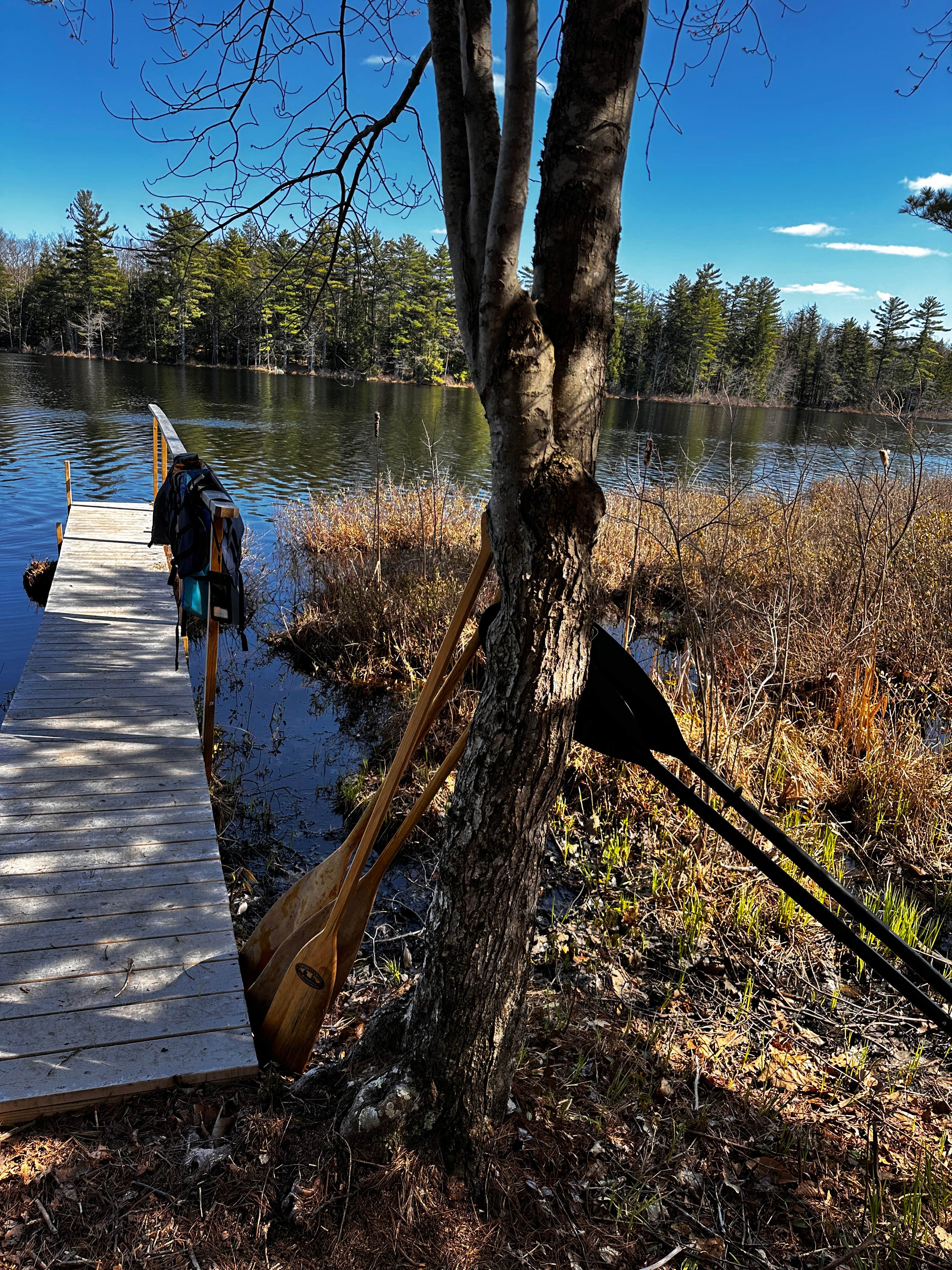 Camper-submitted photo at Tiny Cabins of Maine near Alna, ME