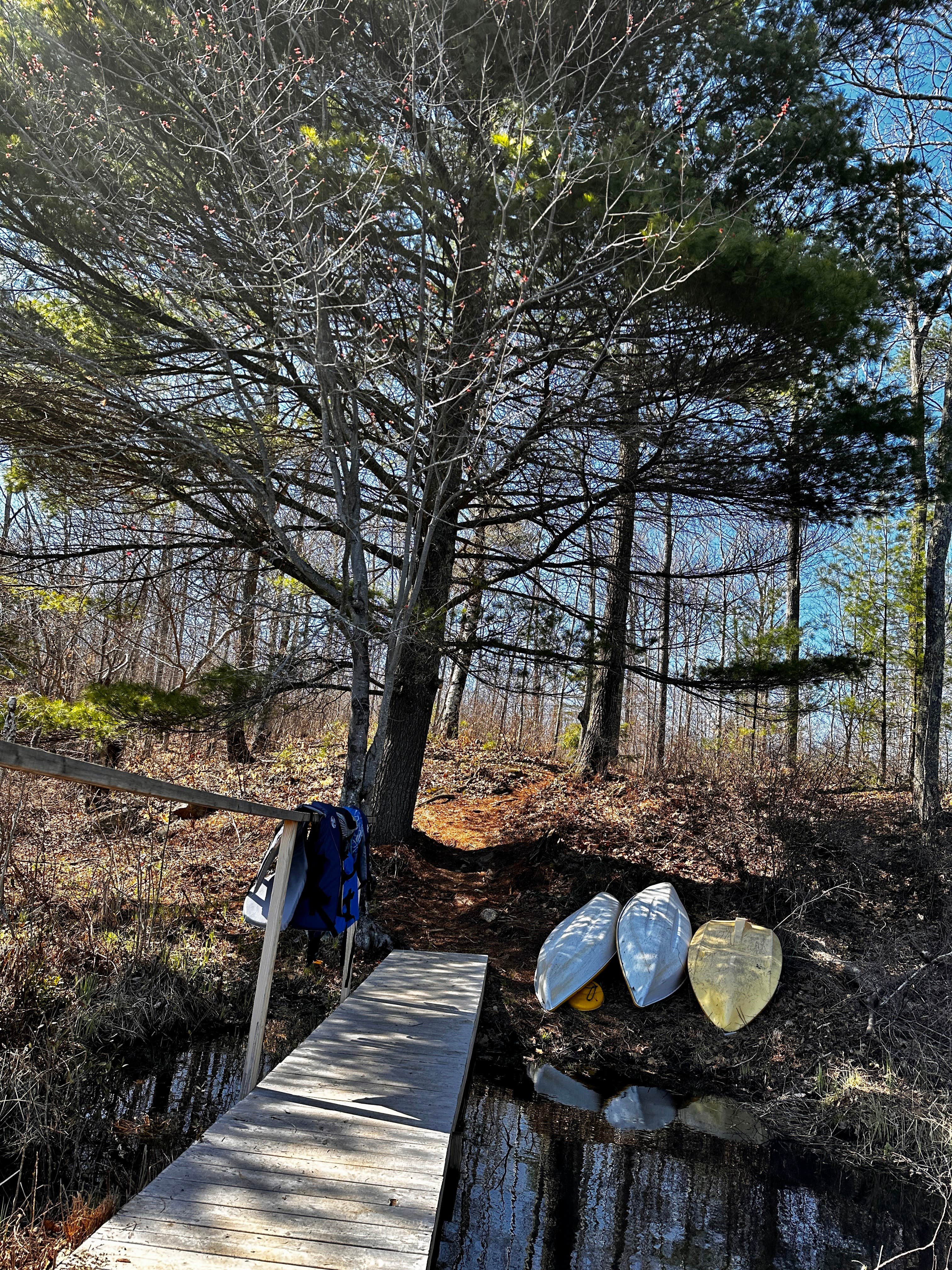 Camper-submitted photo at Tiny Cabins of Maine near Alna, ME