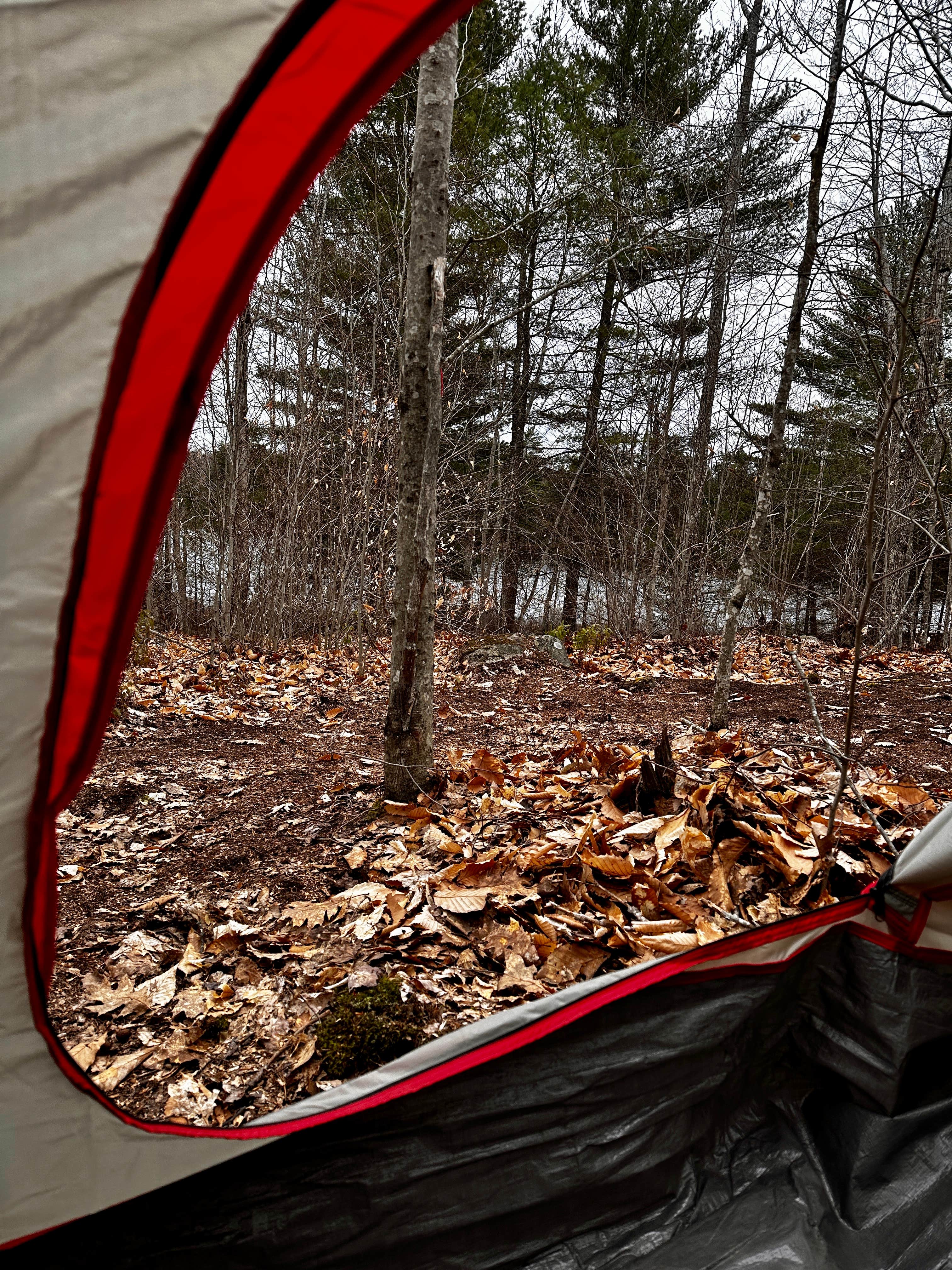Camper-submitted photo at Tiny Cabins of Maine near Liberty, ME
