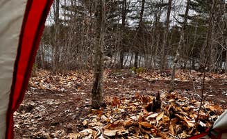 Sherri S.'s photo at Tiny Cabins of Maine near Fayette, ME