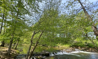 Camping near Pigeon River Campground: Friendship Falls Campground, Cosby, Tennessee