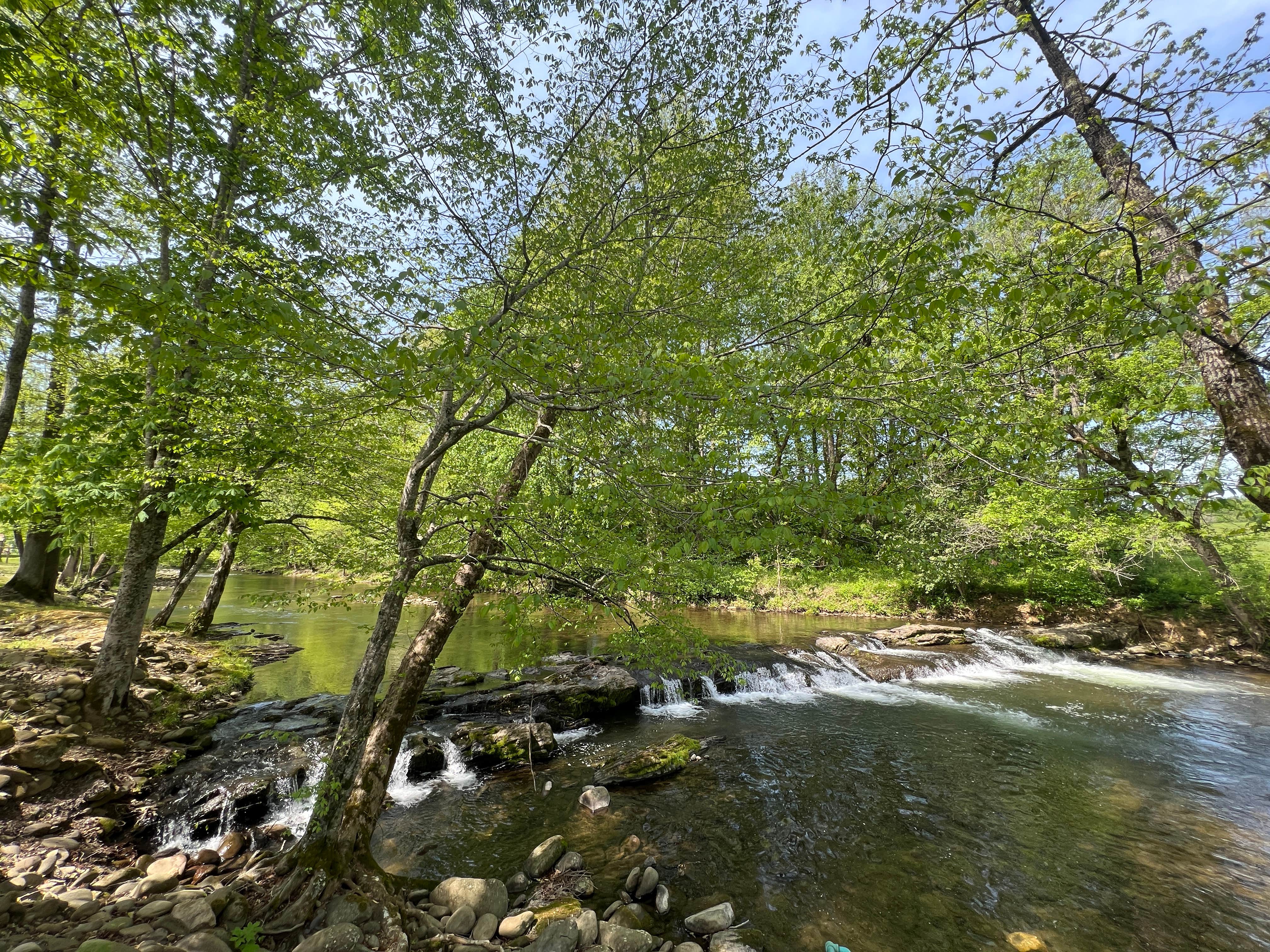 Camper submitted image from Friendship Falls Campground - 1