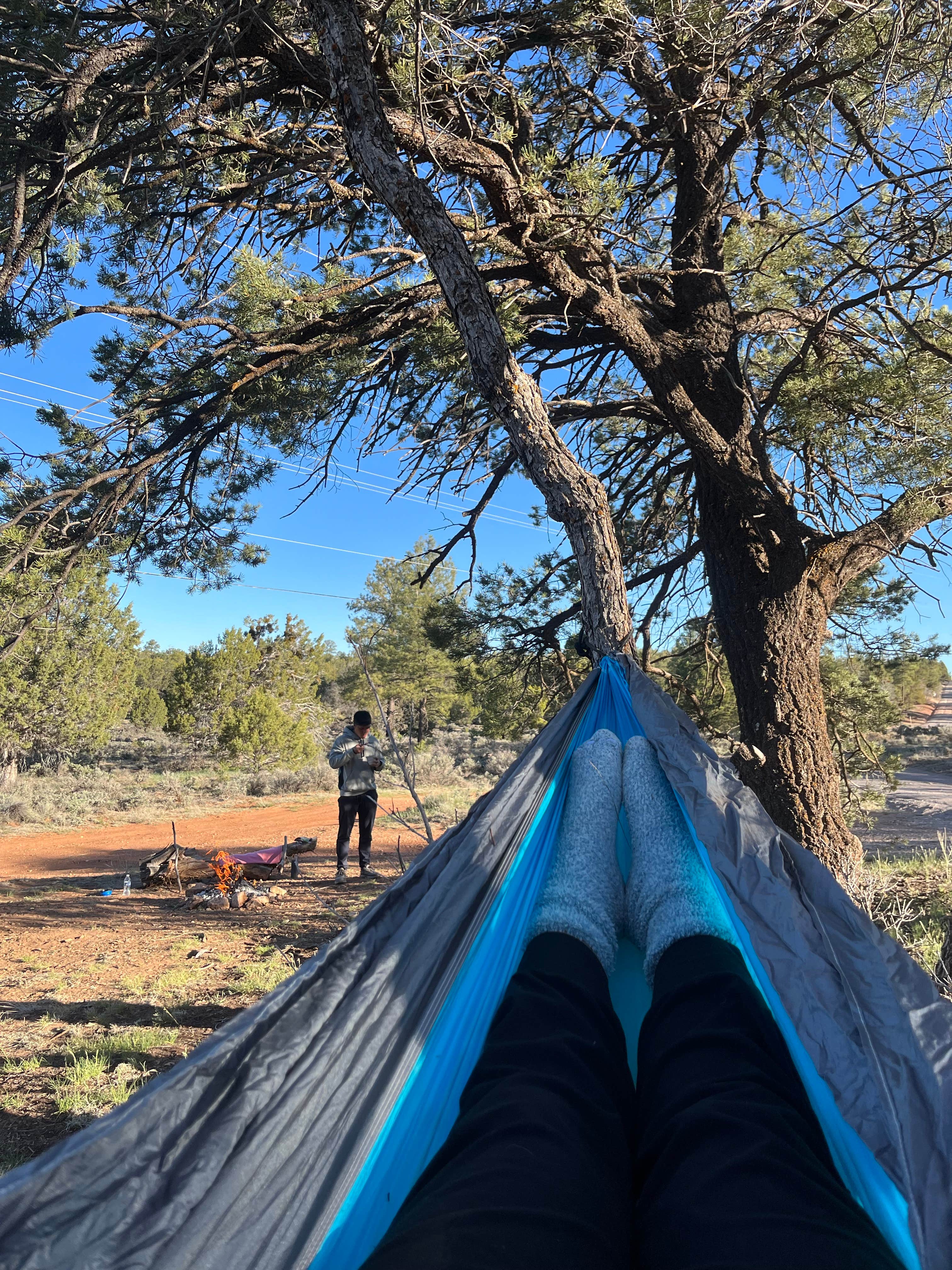 Anna E.'s photo of tent camping at Forest Service Road 328 Dispersed near Kaibab National Forest