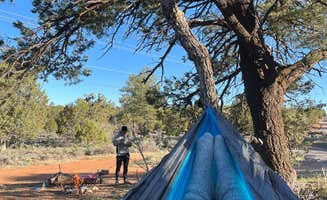 Anna E.'s photo at Forest Service Road 328 Dispersed near Grand Canyon, AZ