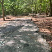 Review photo of Paris Mountain State Park Campground by Ron H., April 29, 2023