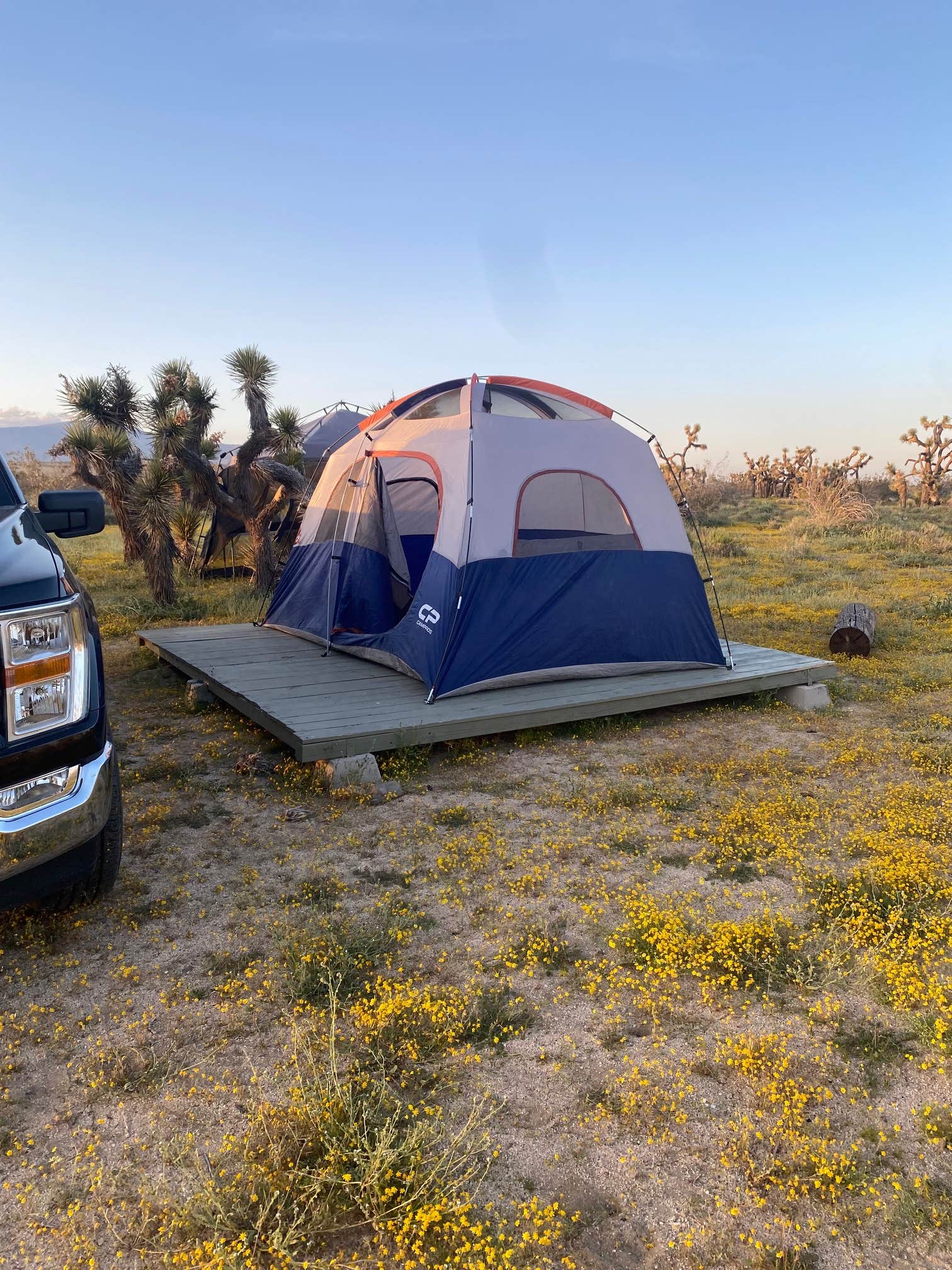 James C.'s photo at Joshua Tree Rancho near Green Valley, CA