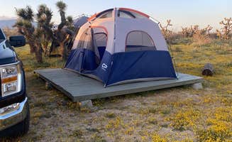 James C.'s photo at Joshua Tree Rancho near Leona Valley, CA