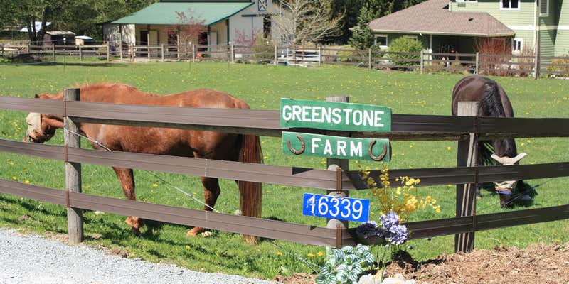 Camper submitted image from Greenstone Farm Camping