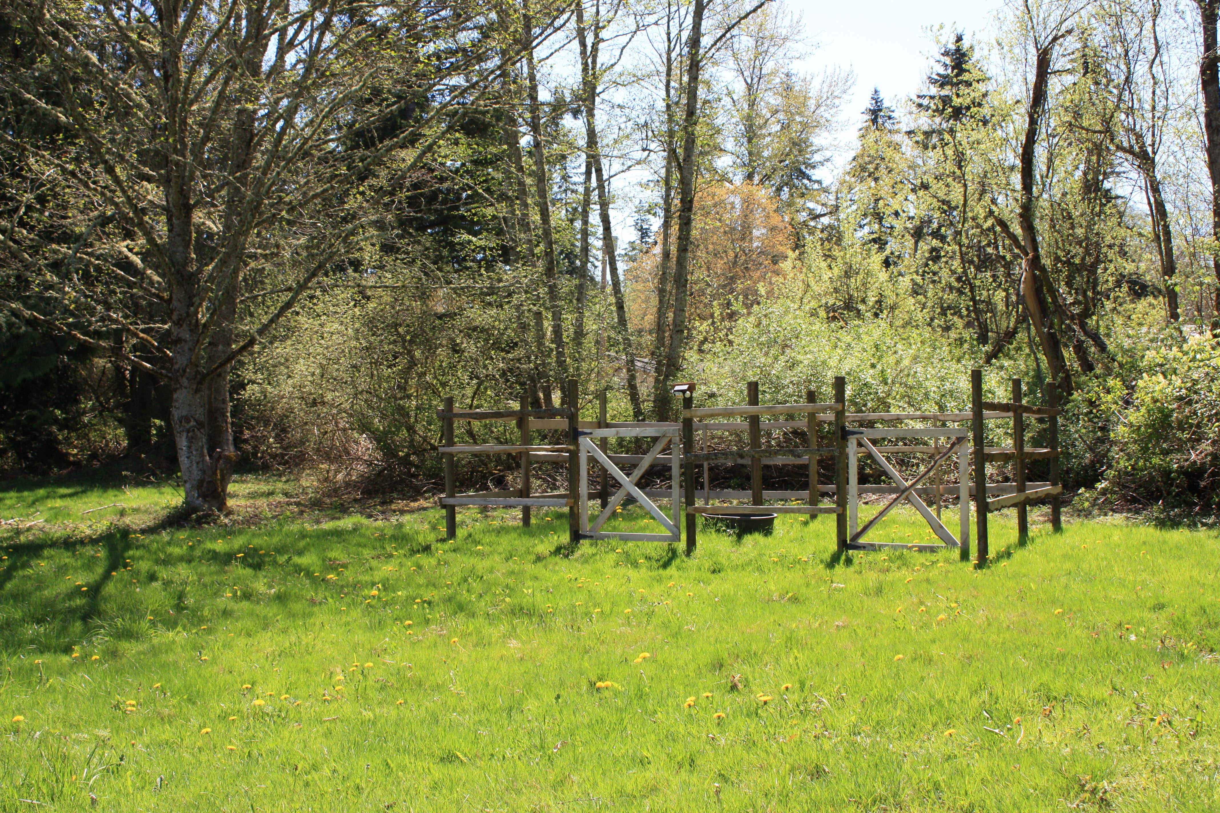 Camper-submitted photo at Greenstone Farm Camping near Everett, WA