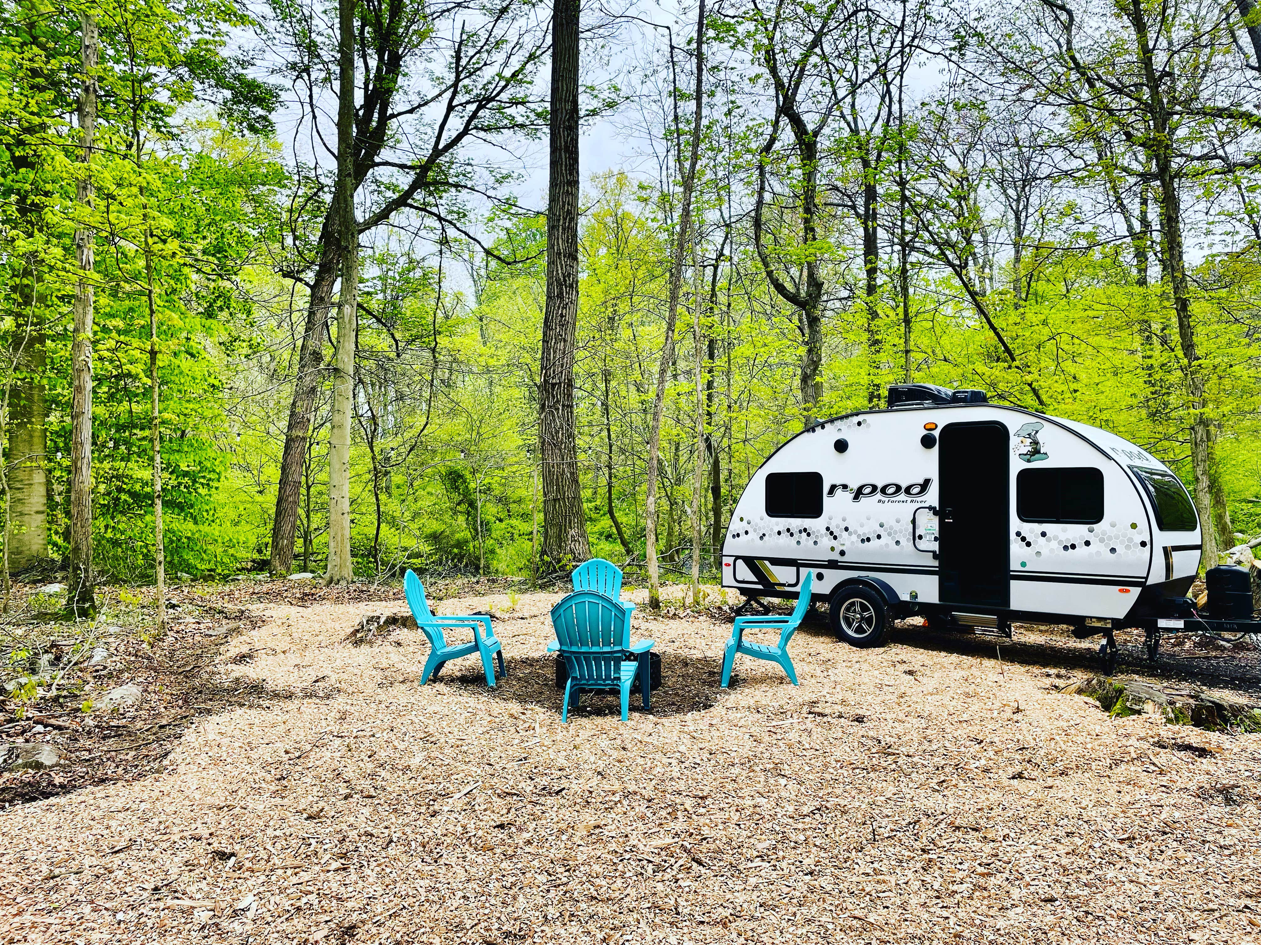 LaPlace T.'s photo at Tranquil Creekside Camp near Hockessin, DE