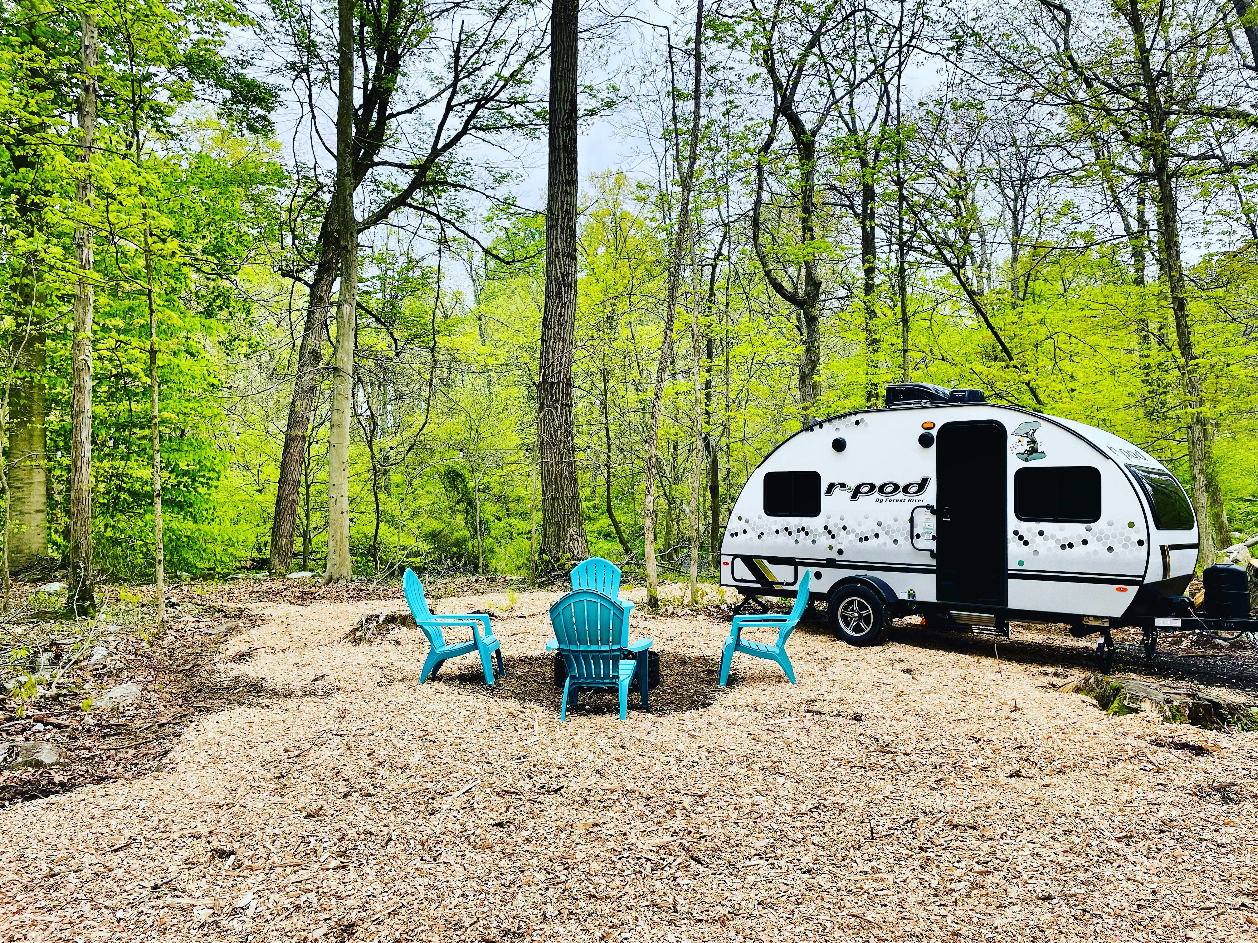 Camper submitted image from Tranquil Creekside Camp - 1