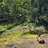 Review photo of Battle Ground Lake State Park Campground by Taryn L., April 29, 2023