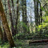 Review photo of Battle Ground Lake State Park Campground by Taryn L., April 29, 2023