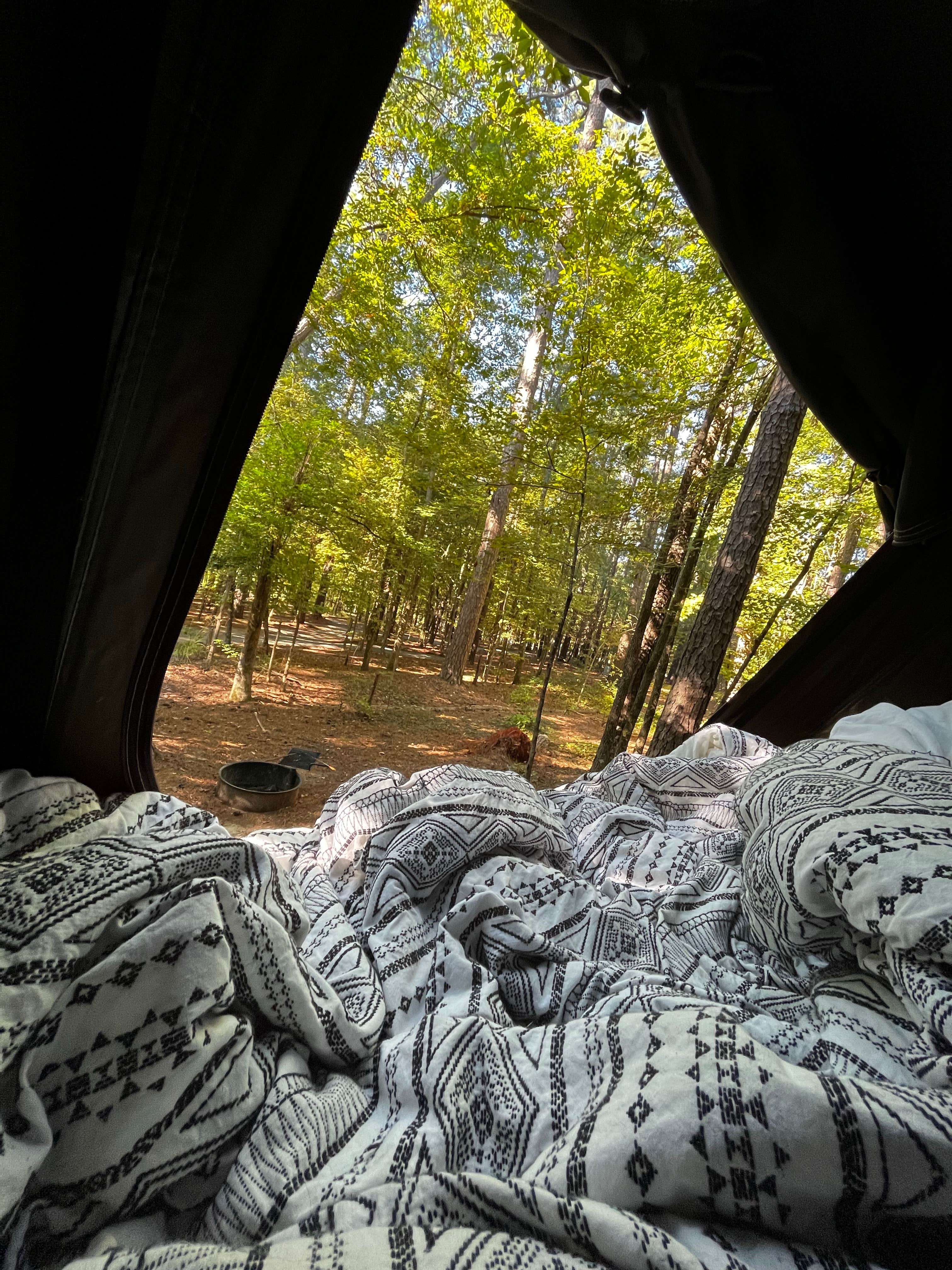 Kimberley S.'s photo at Lincoln Parish Park near Chatham, LA