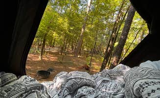 Kimberley S.'s photo at Lincoln Parish Park near Chatham, LA