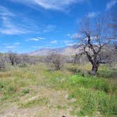 Review photo of Catalina State Park Campground by Clean Slate D., April 30, 2023