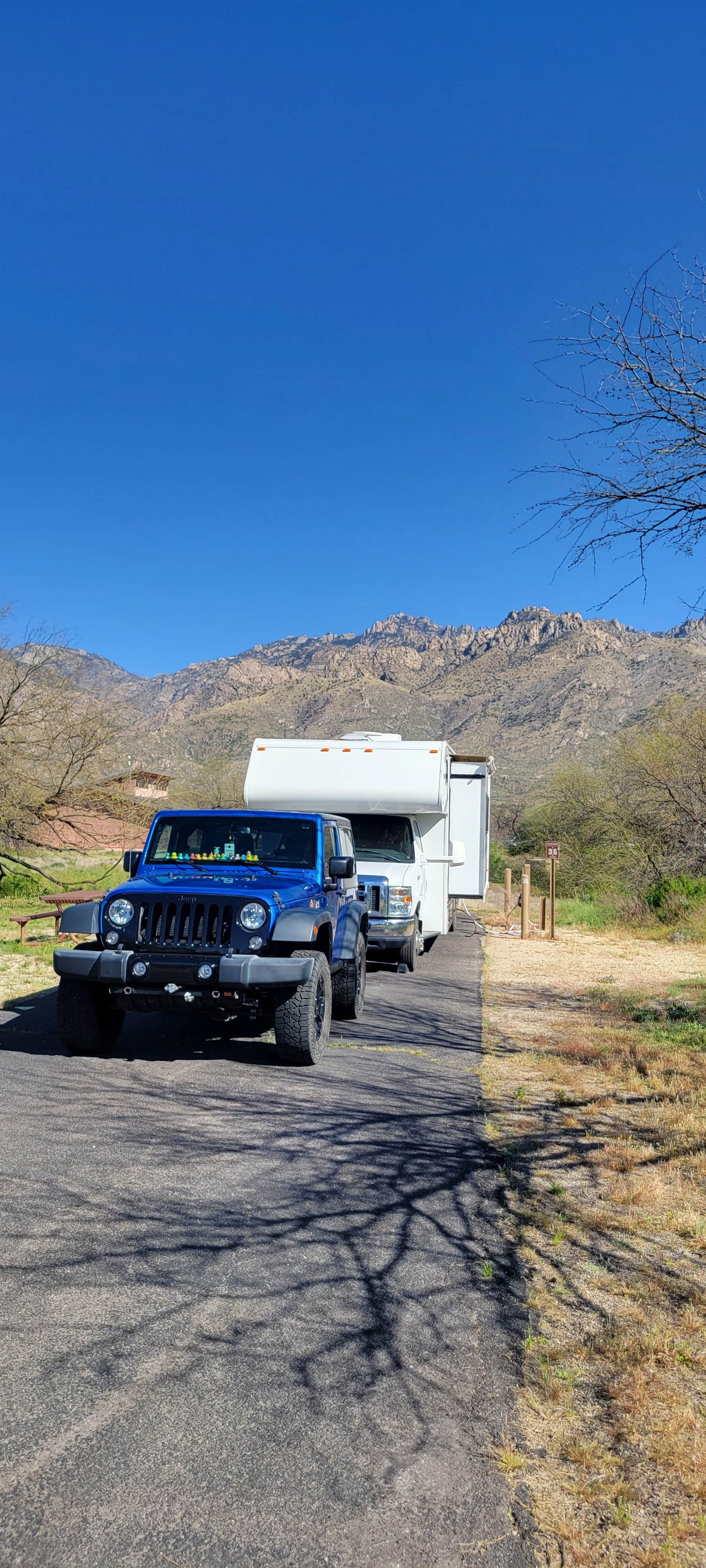 Clean Slate D.'s photo of rv camping at Catalina State Park Campground near Winkelman, AZ