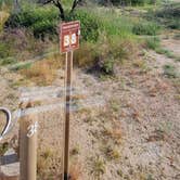 Review photo of Catalina State Park Campground by Clean Slate D., April 30, 2023