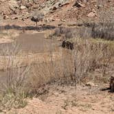 Review photo of BLM Road 327 Dispersed by Greg L., April 30, 2023