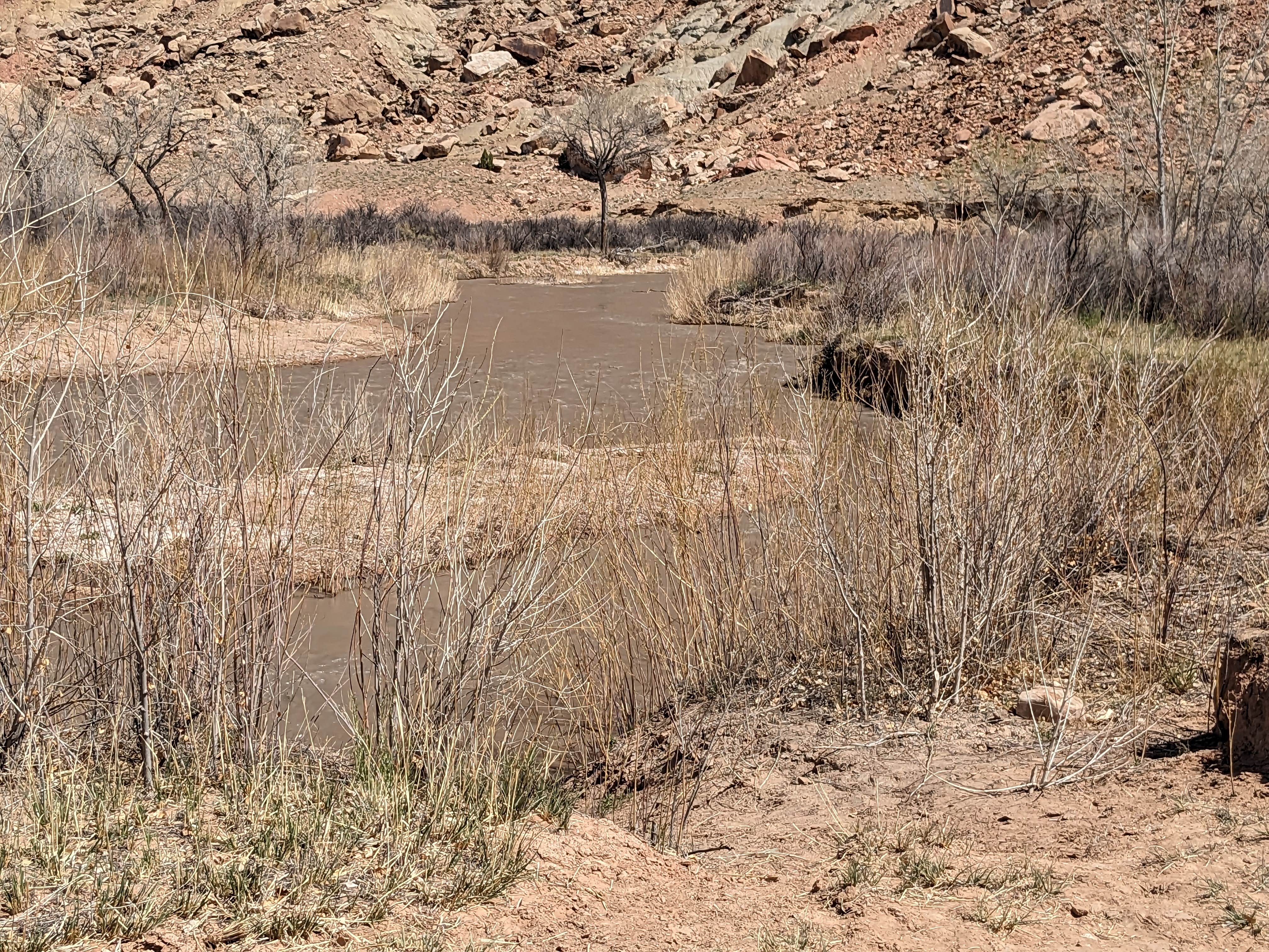 Camper submitted image from BLM Road 327 Dispersed - 3