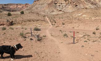 Greg L.'s photo of camping with pets at BLM Road 327 Dispersed near Wellington, UT