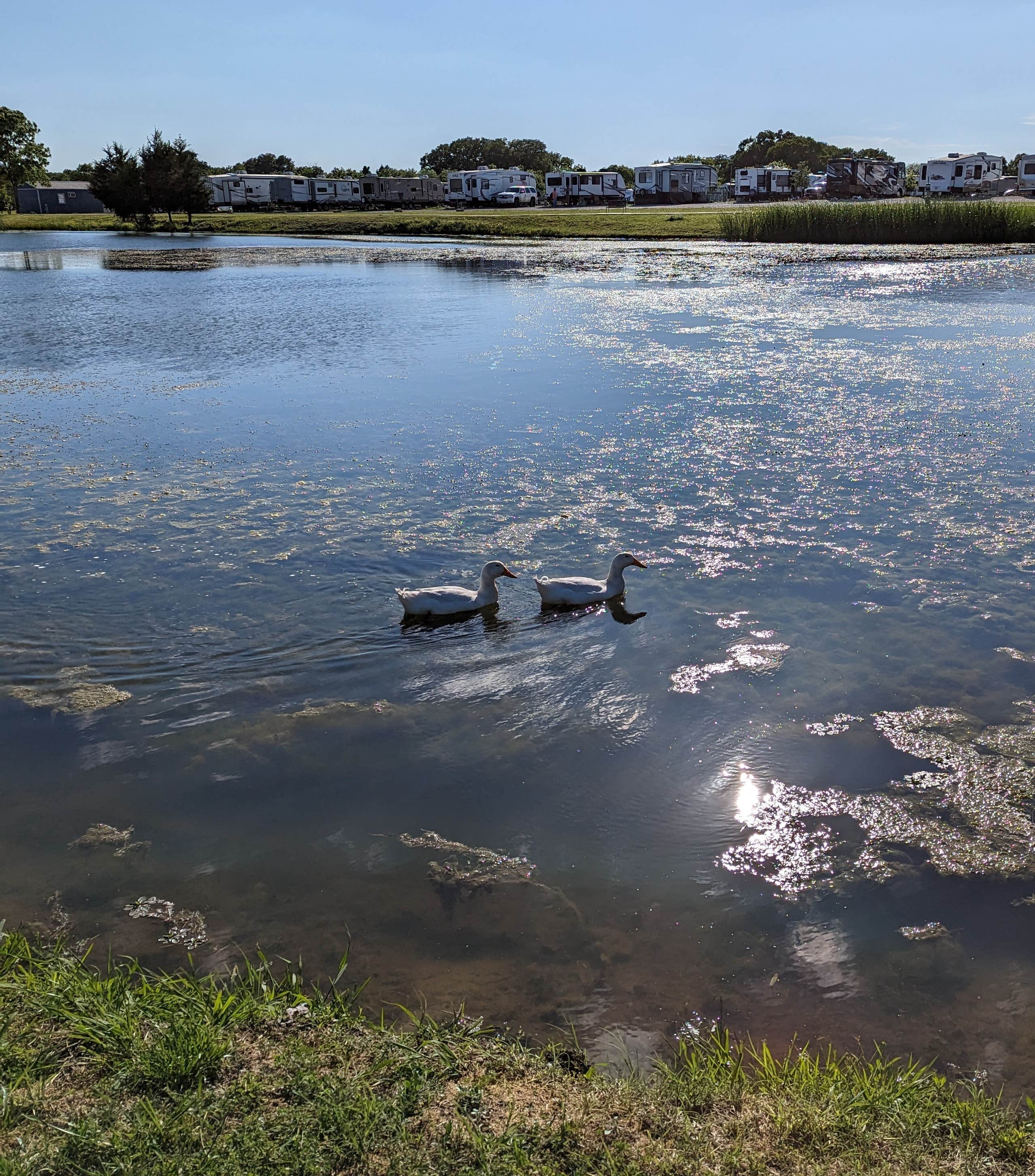 Camper-submitted photo at Stinson RV Park near Fate, TX