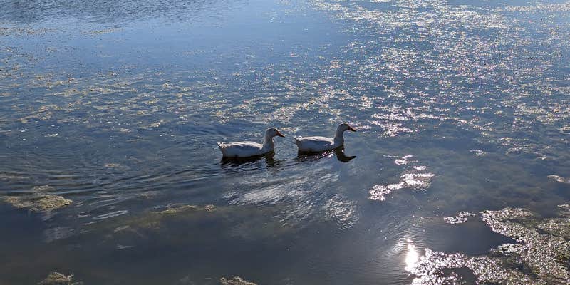 Camper submitted image from Stinson RV Park