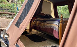 julie S.'s photo of tent camping at Skywanda sanctuary near Brisbane, CA