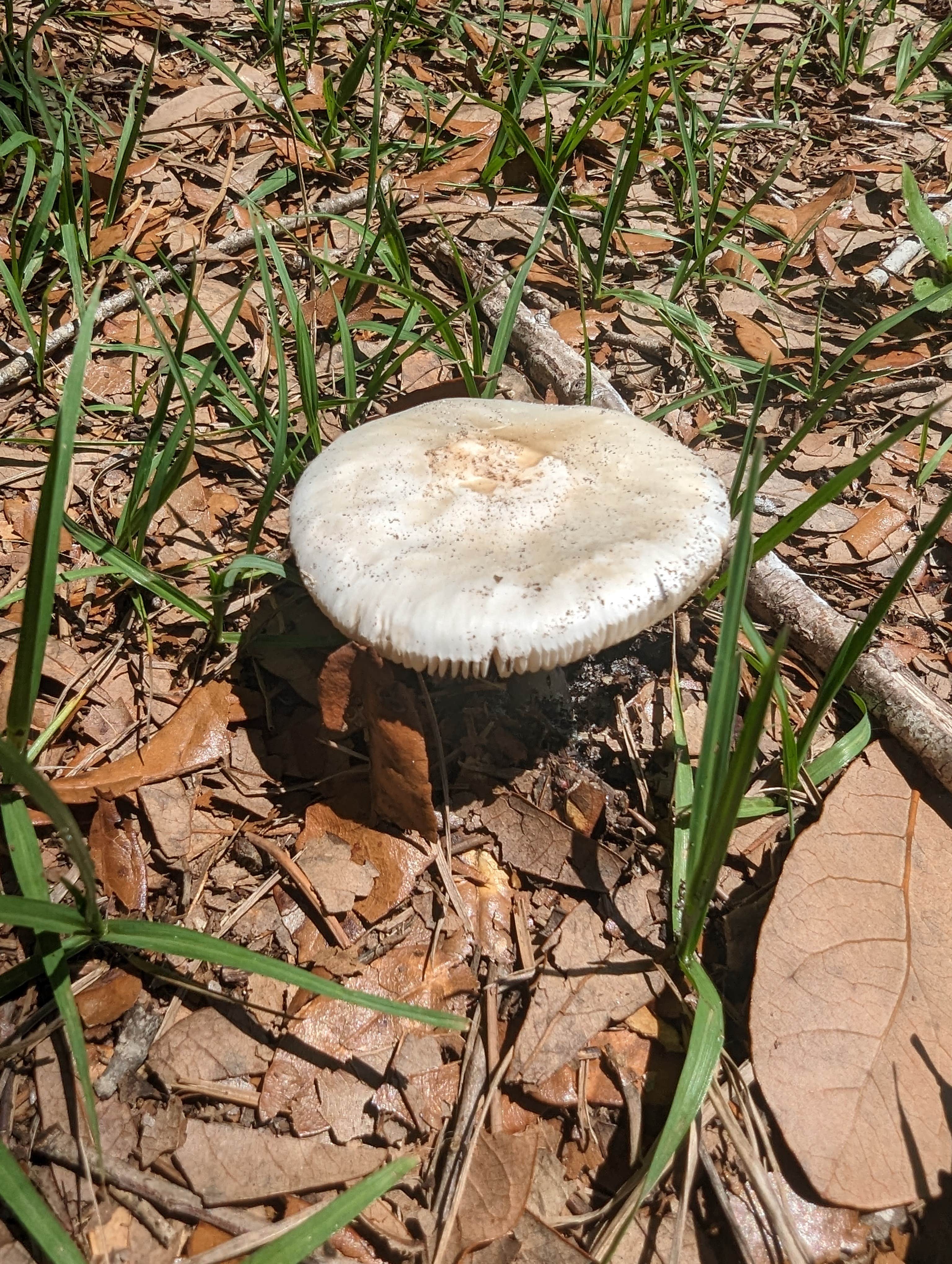 Camper-submitted photo at DuPuis Campground at Gate 3 near Palm City, FL