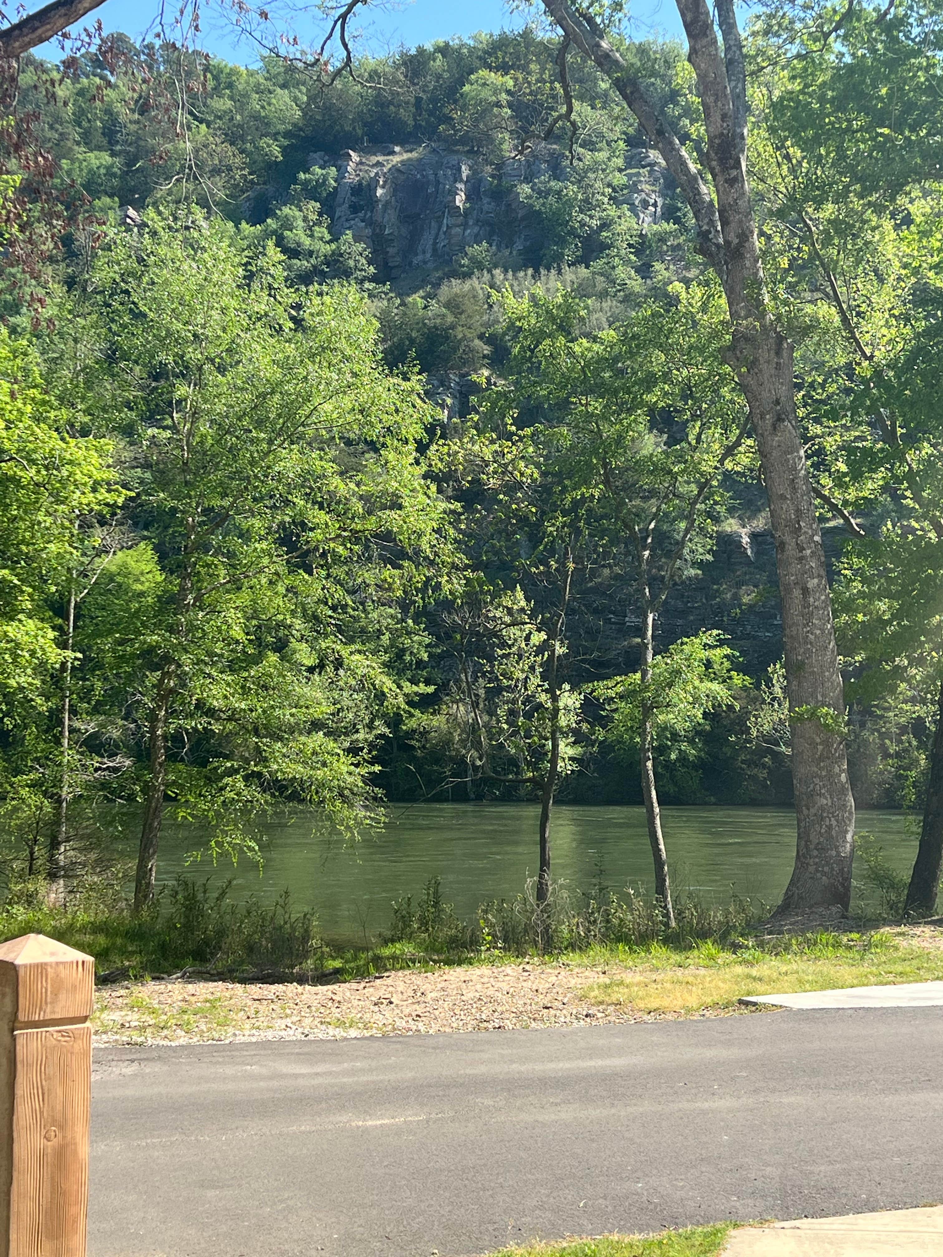 Camper submitted image from Bluejay — Beavers Bend State Park - 3