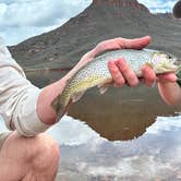 Review photo of Flatiron Reservoir Campground by Adam , April 30, 2023