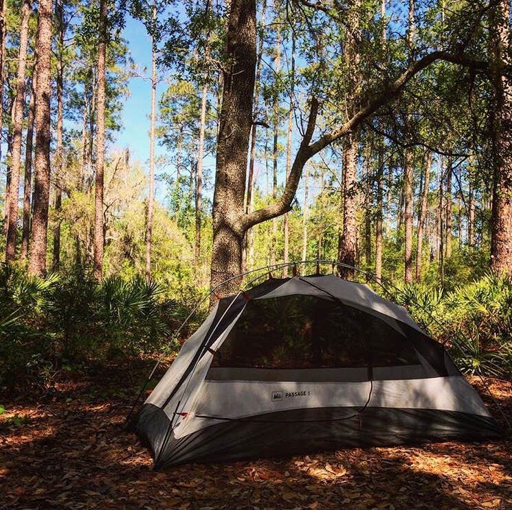 Camper-submitted photo at 17 Mile Hunt Camp near Olustee, FL