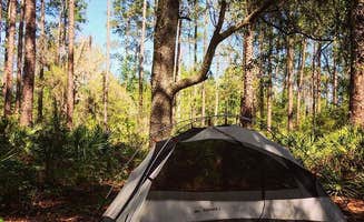 Aliyah B.'s photo of a dispersed camping area at 17 Mile Hunt Camp near Folkston, GA