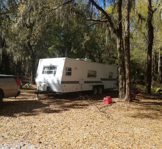 Camper-submitted photo from Upper Hillsborough Preserve — Alston Tract