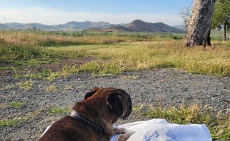 Courtney F.'s photo of camping with pets at Tule Campground near Kaweah Lake