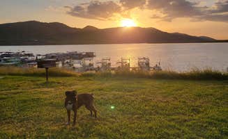 Courtney F.'s photo of camping with pets at Tule - Success Lake near Sunland, CA