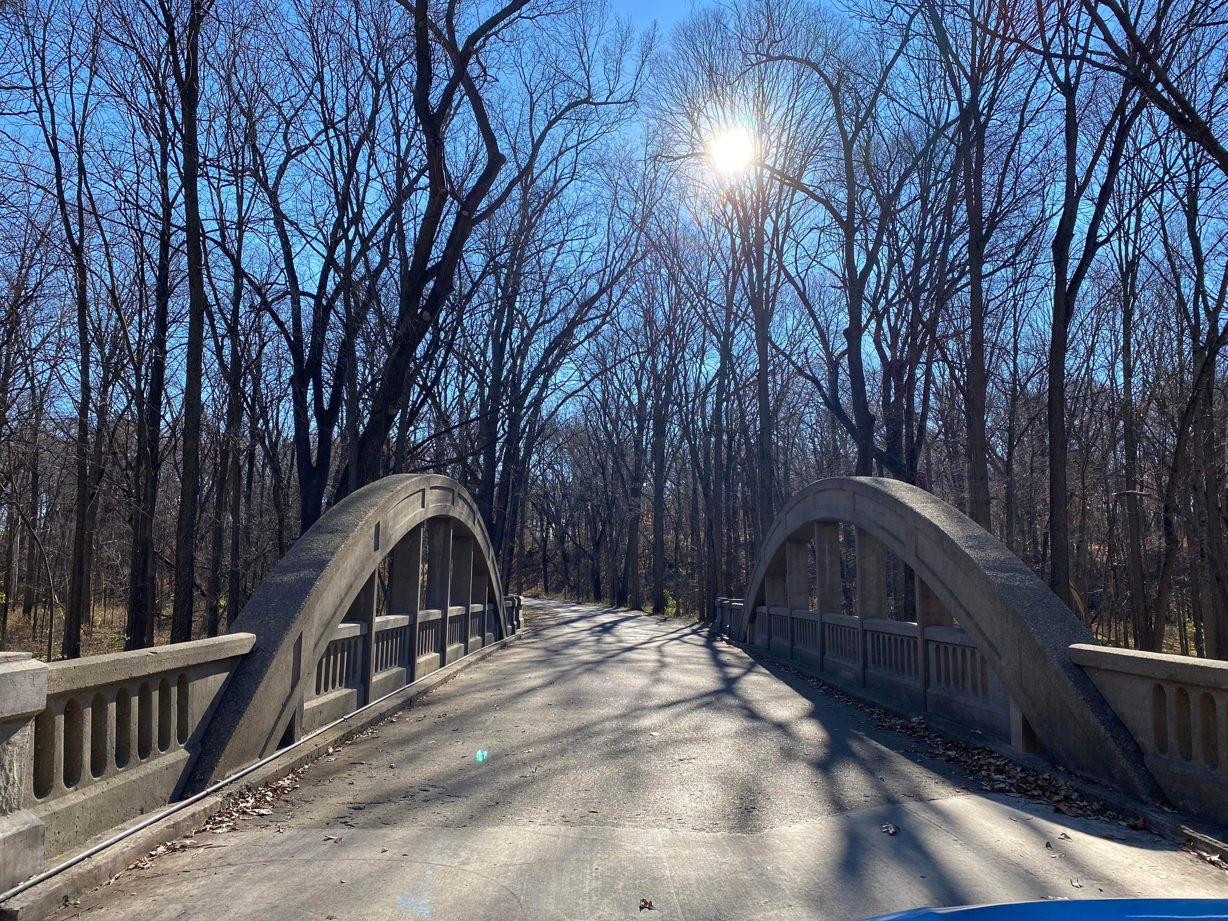 Camper submitted image from Hononegah Forest Preserve - 5