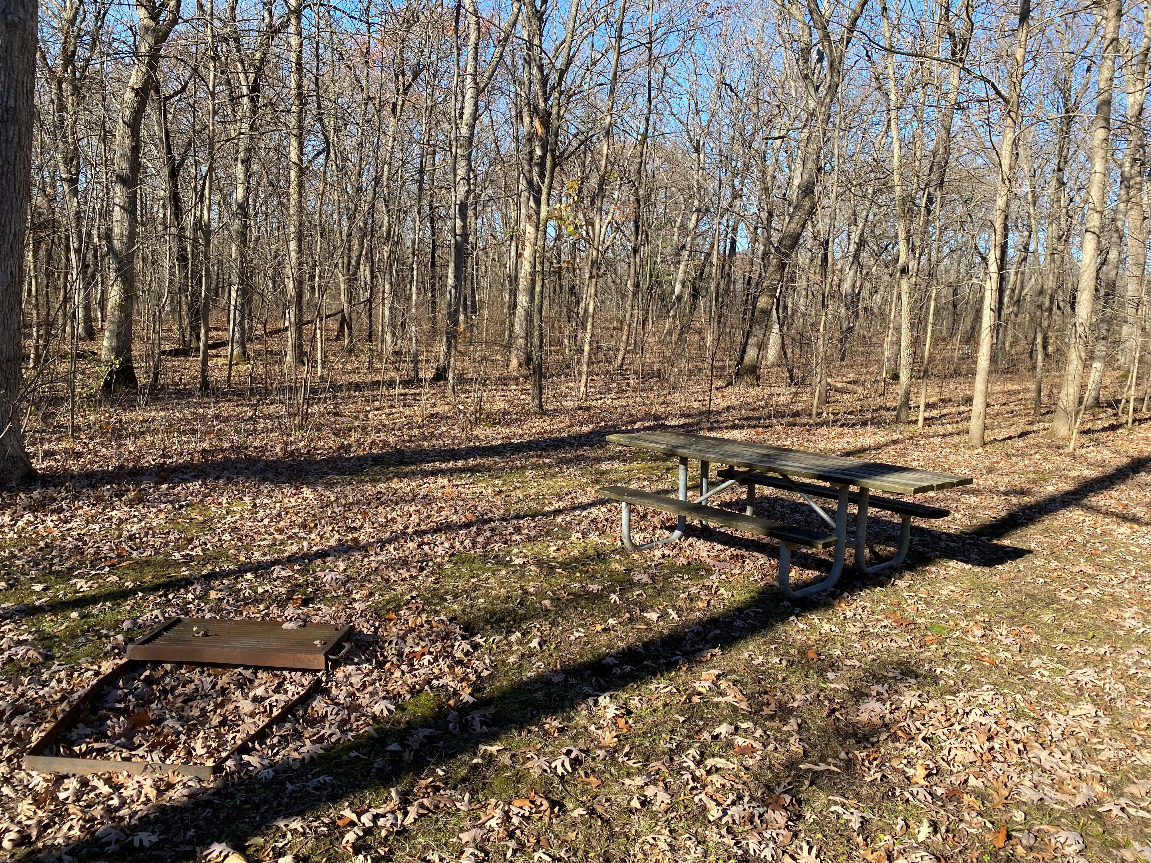 Camper submitted image from Hononegah Forest Preserve - 3