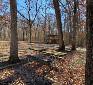Camper-submitted photo from Sugar River Forest Preserve